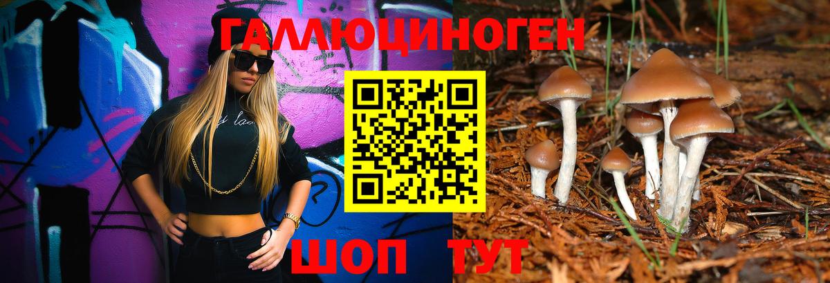 Псилоцибиновые грибы Cubensis  Вход с VPN  где можно купить наркотик  Белорецк 